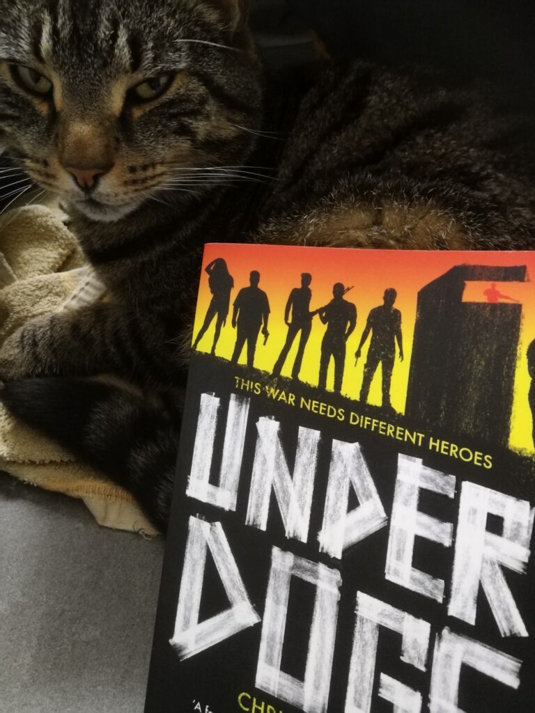 På billedet ses Chris Bonellos bog der står lænet op af en grå kat. 